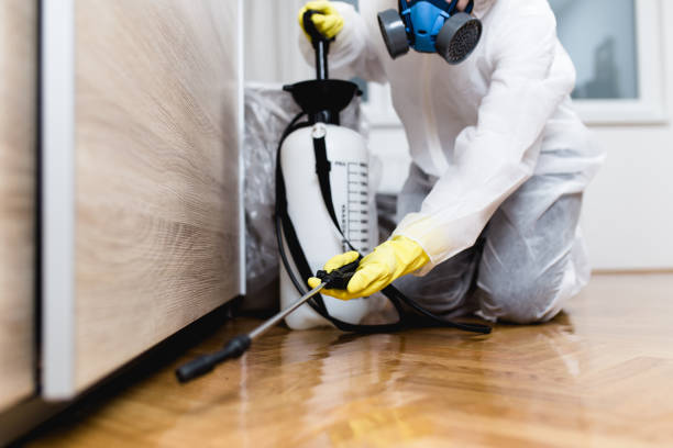 Best Pest Removal Services  in Beach, ND