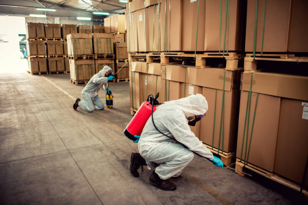 Best Residential Pest Control  in Beach, ND