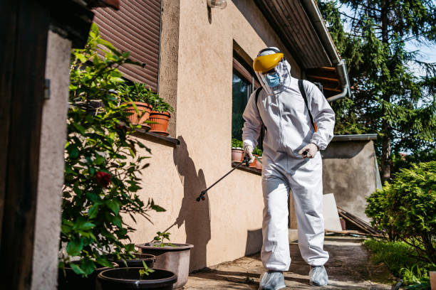 Trusted Beach, ND Pest Control Experts