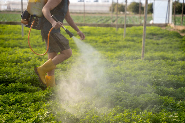 Best Local Pest Control Services  in Beach, ND