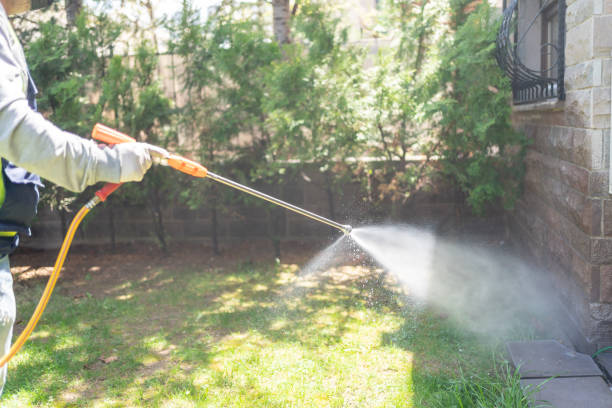 Best Pest Control for Businesses  in Beach, ND