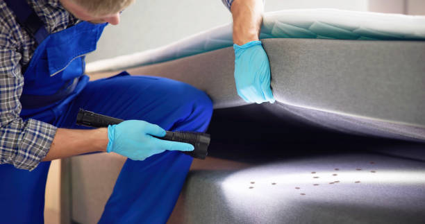 Best Mosquito Control Services  in Beach, ND