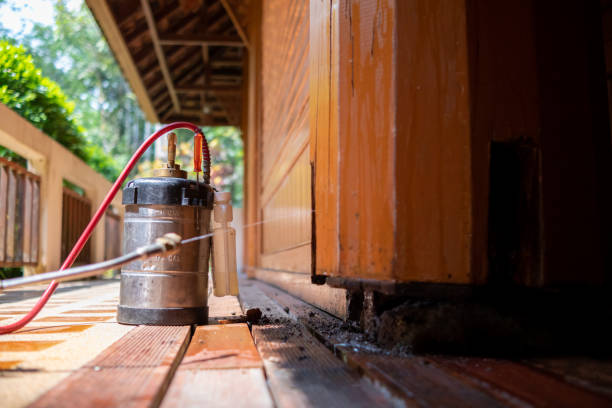 Best Ant Control Services  in Beach, ND