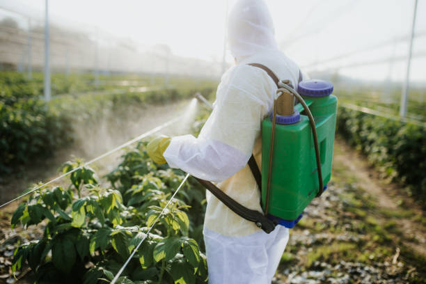 Best Best Pest Control Companies  in Beach, ND